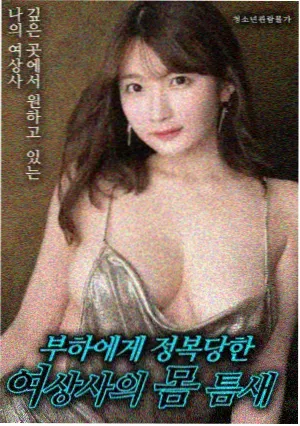 静默航线 片单封面